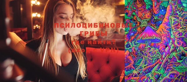 стафф Краснотурьинск