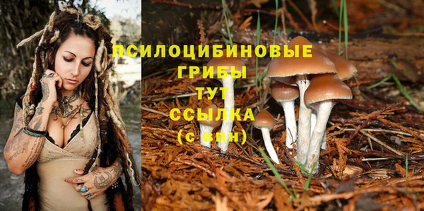прущий лед Краснослободск