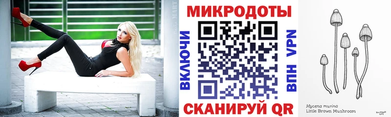 Галлюциногенные грибы прущие грибы  Купить  Строитель 